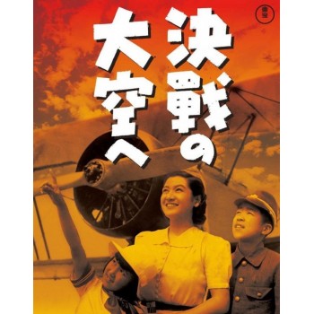 Toward the Decisive Battle of the Sky 1943 WWII